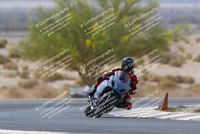 media/Apr-10-2022-SoCal Trackdays (Sun) [[f104b12566]]/Turn 5 Tree of Life (1040am)/